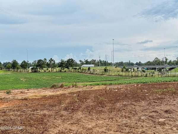 19 Acres of Land for Sale in Grand Ridge, Florida
