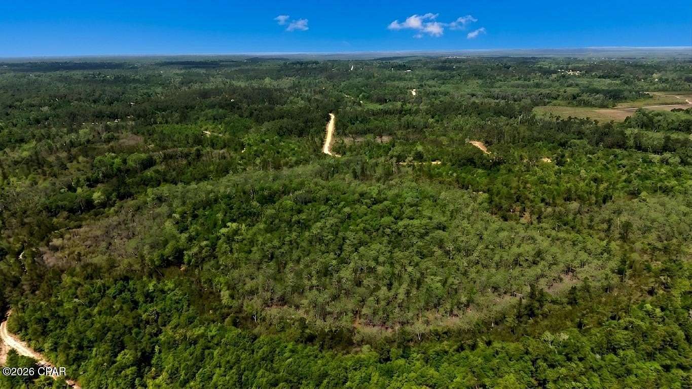 225 Acres of Recreational & Residential Land for Sale in Alford, Florida