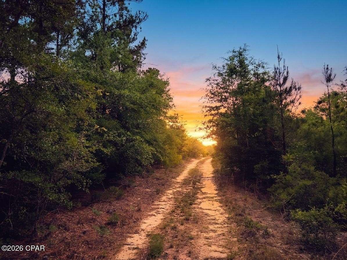 225 Acres of Recreational & Residential Land for Sale in Alford, Florida