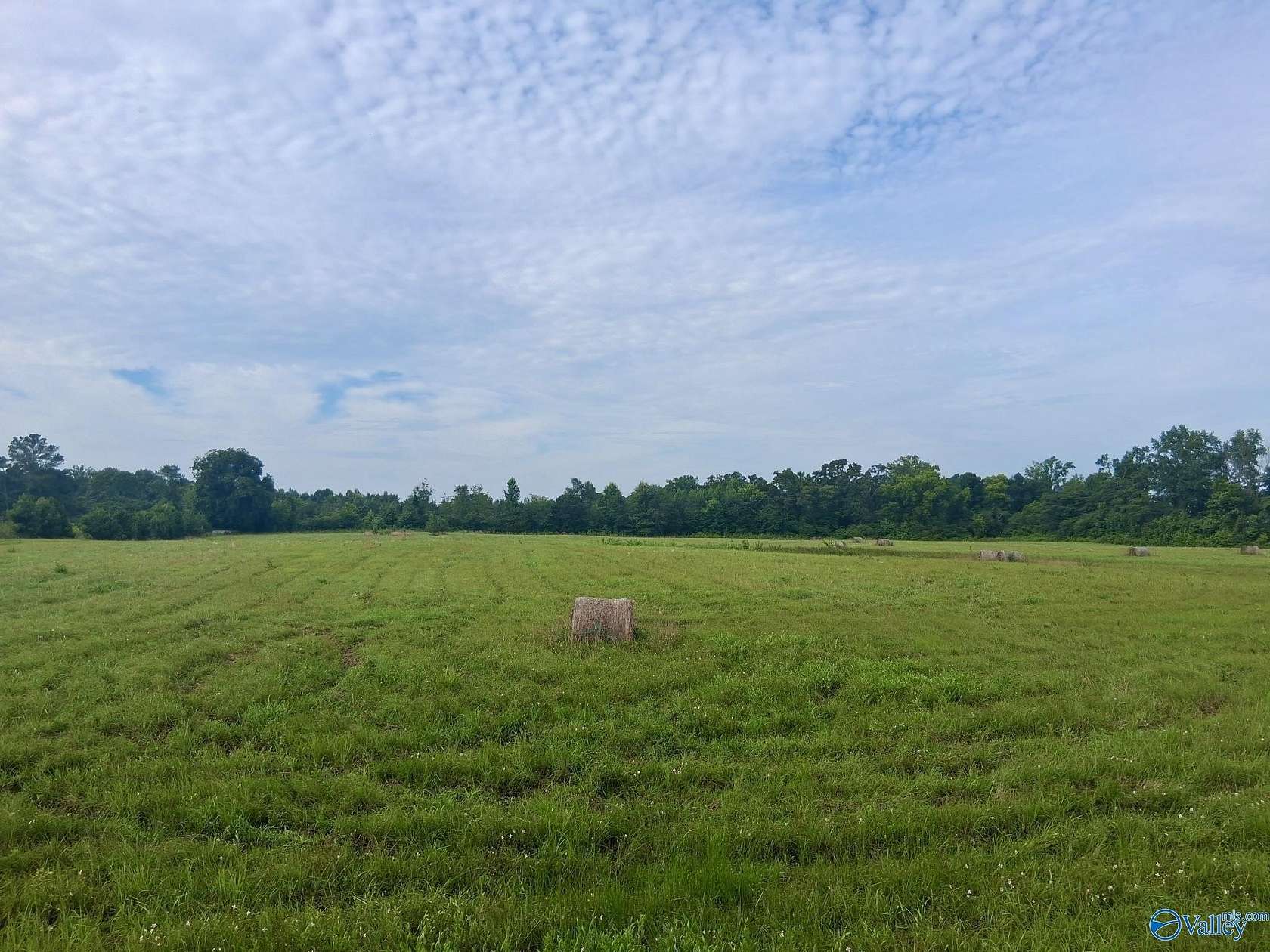 11 Acres of Land for Sale in Grant, Alabama