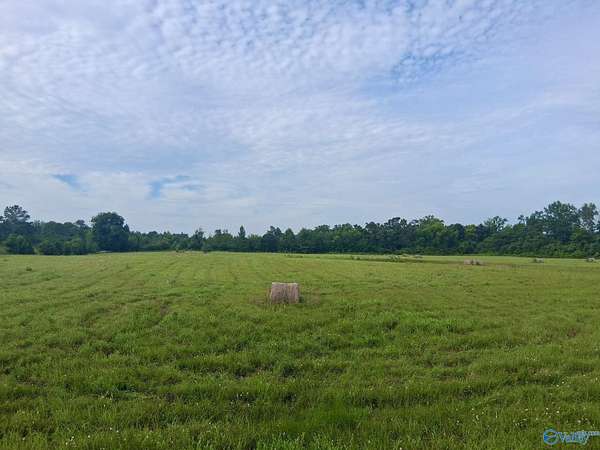11 Acres of Land for Sale in Grant, Alabama