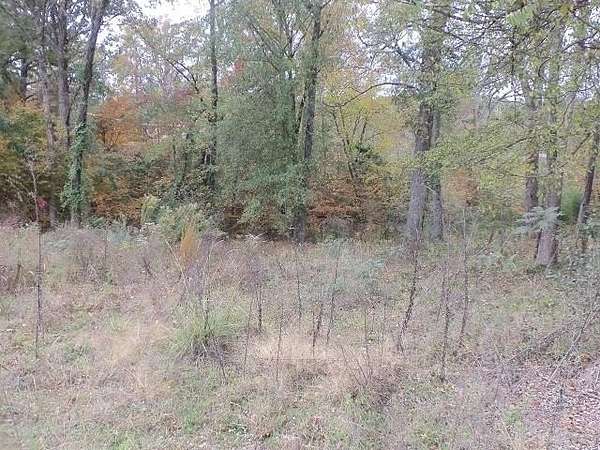 0.59 Acres of Land for Sale in Kilgore, Texas