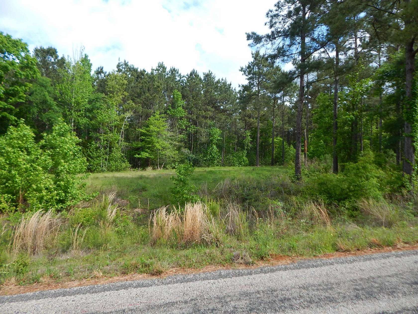 2 Acres of Land for Sale in Diana, Texas