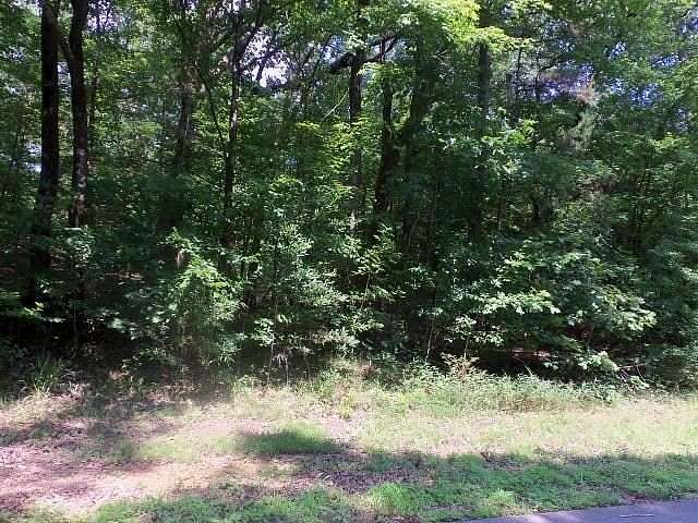 1.27 Acres of Land for Sale in Kilgore, Texas
