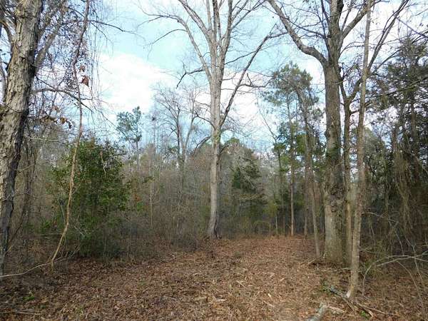 12.5 Acres of Land for Sale in Gilmer, Texas