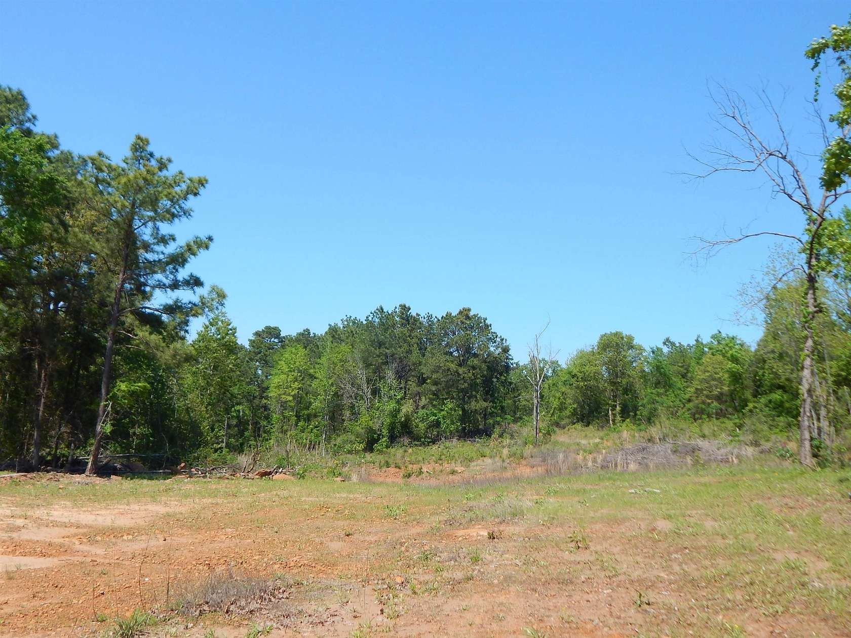15 Acres of Land for Sale in Big Sandy, Texas