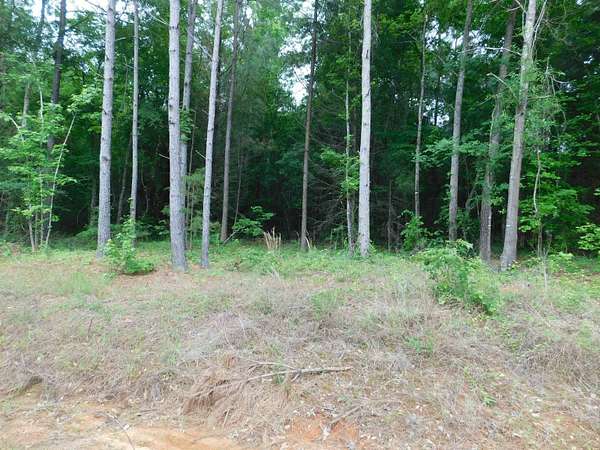 0.67 Acres of Land for Sale in Gilmer, Texas
