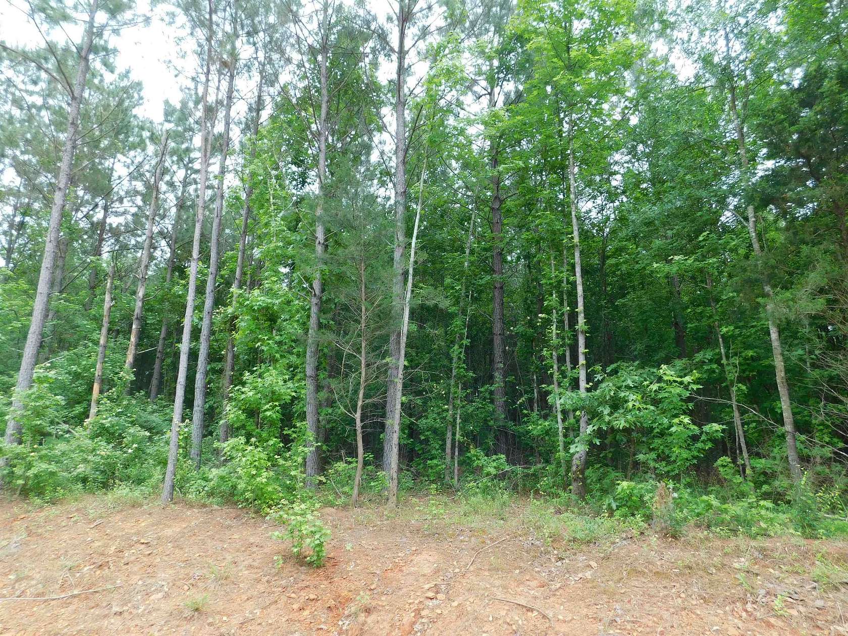 0.82 Acres of Land for Sale in Gilmer, Texas