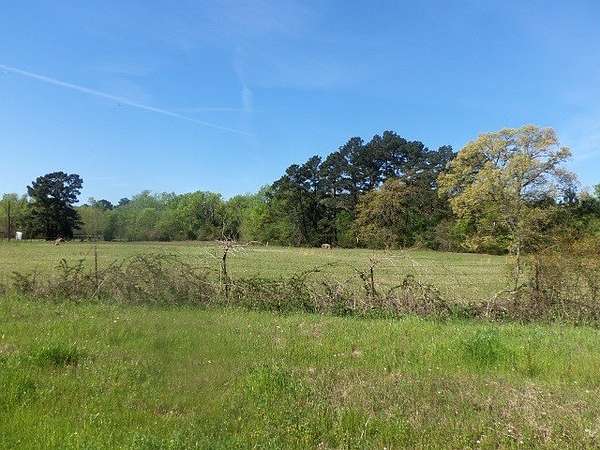 150 Acres of Agricultural Land for Sale in Kilgore, Texas