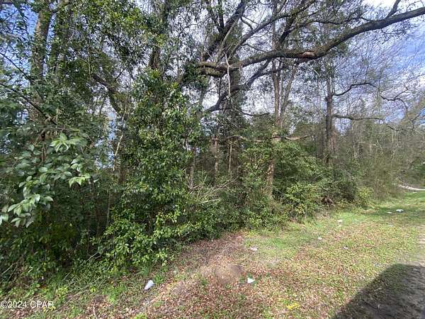 6.4 Acres of Residential Land for Sale in Marianna, Florida
