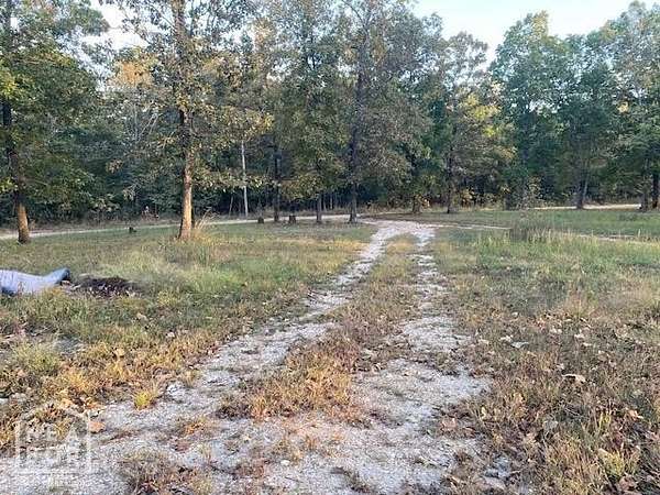 19.3 Acres of Recreational & Residential Land for Sale in Pocahontas, Arkansas