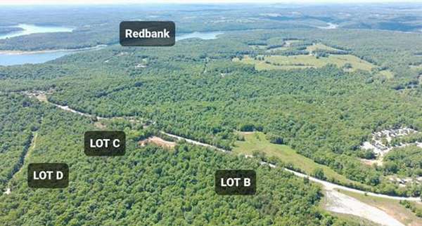 3.14 Acres of Land for Sale in Gamaliel, Arkansas