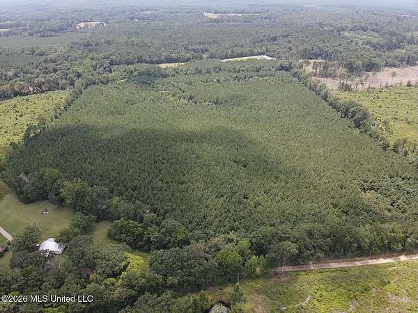 37 Acres of Land for Sale in Morton, Mississippi