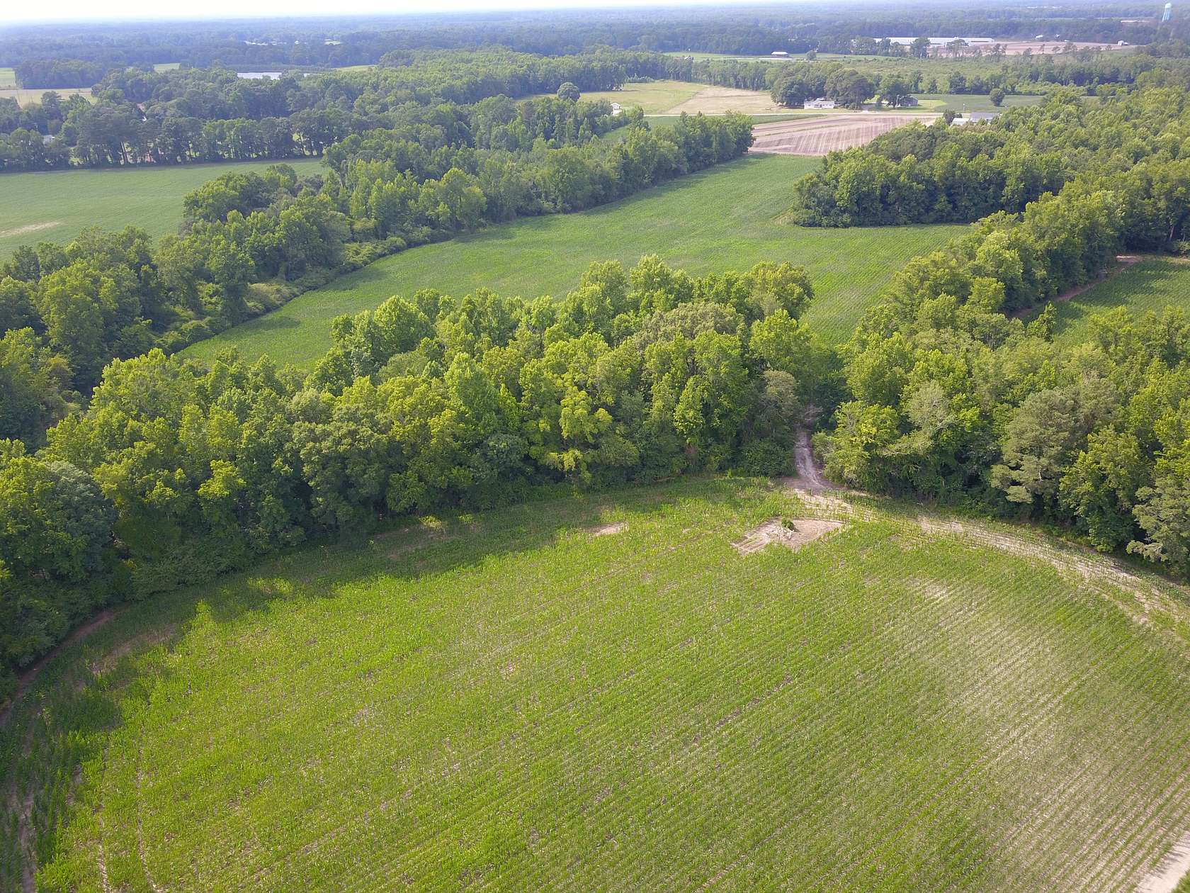 52.2 Acres of Land for Sale in Chinquapin, North Carolina