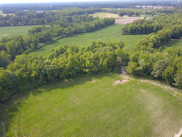 52.2 Acres of Land for Sale in Chinquapin, North Carolina