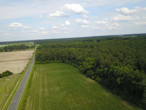 28.2 Acres of Land for Sale in Chinquapin, North Carolina