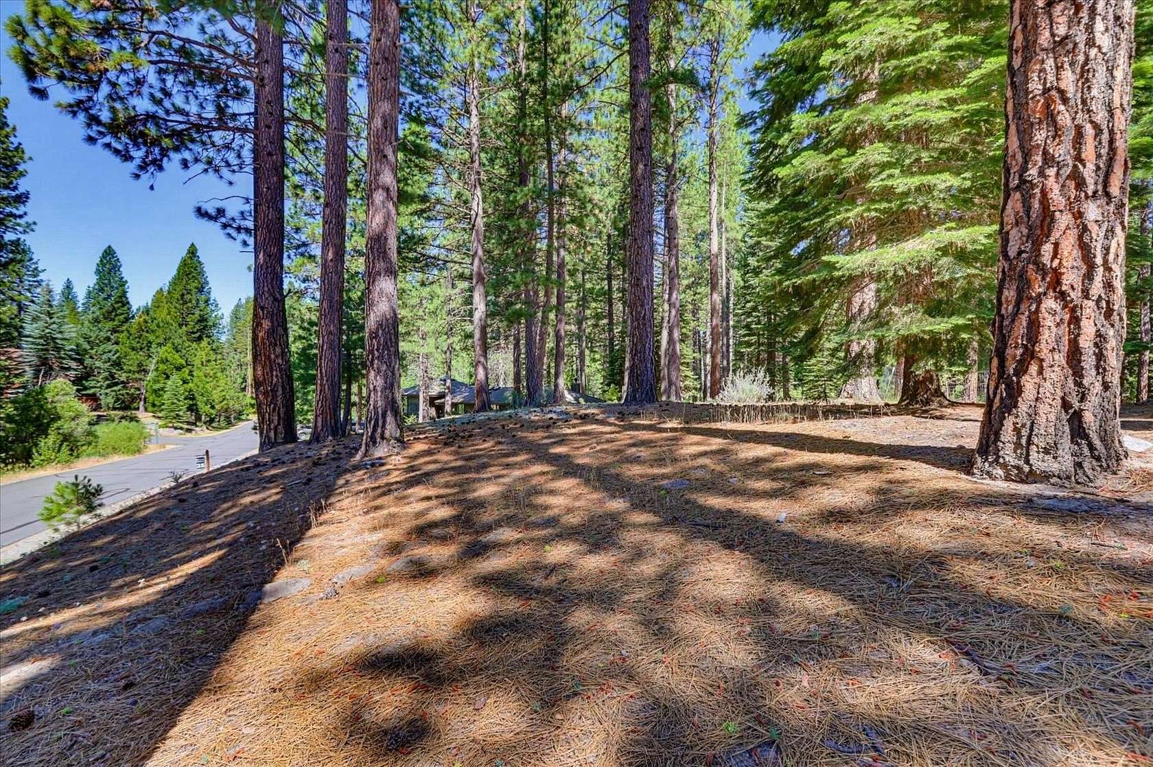 0.35 Acres of Residential Land for Sale in Clio, California