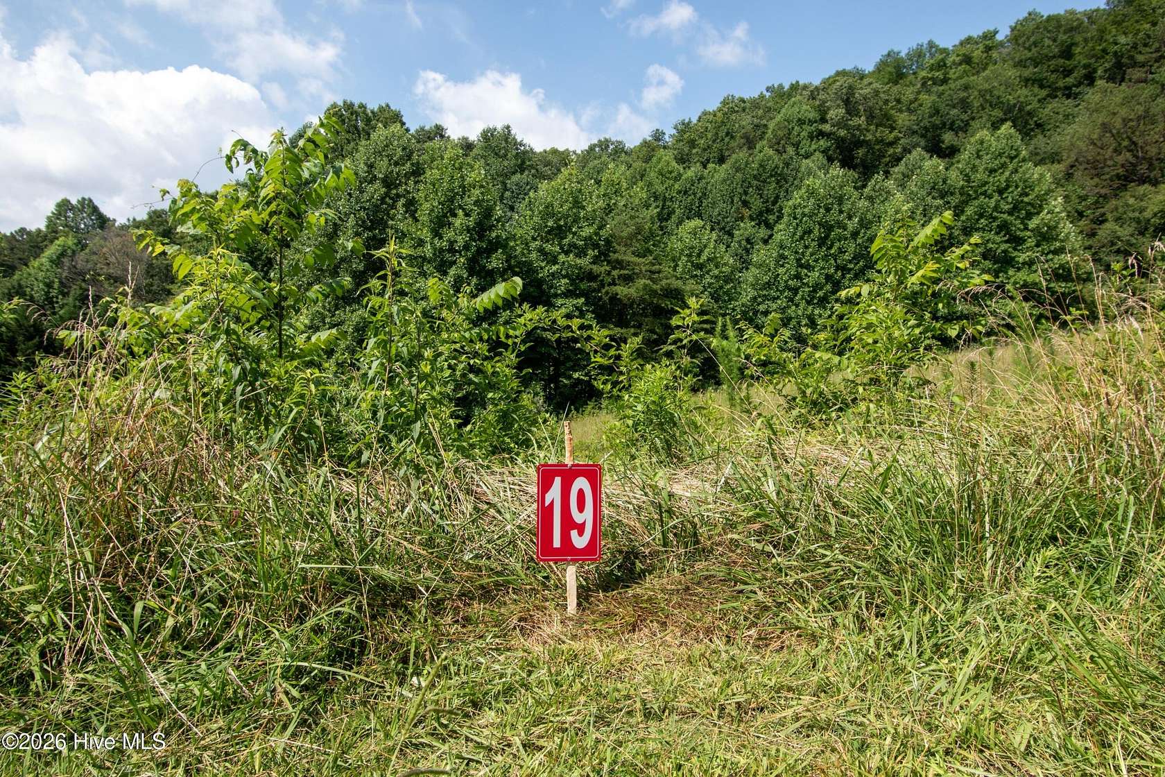 1.3 Acres of Residential Land for Sale in Marble, North Carolina