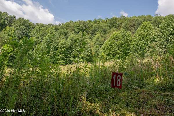 0.99 Acres of Residential Land for Sale in Marble, North Carolina