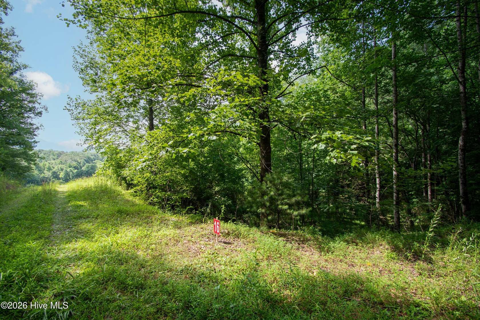 1.14 Acres of Residential Land for Sale in Marble, North Carolina