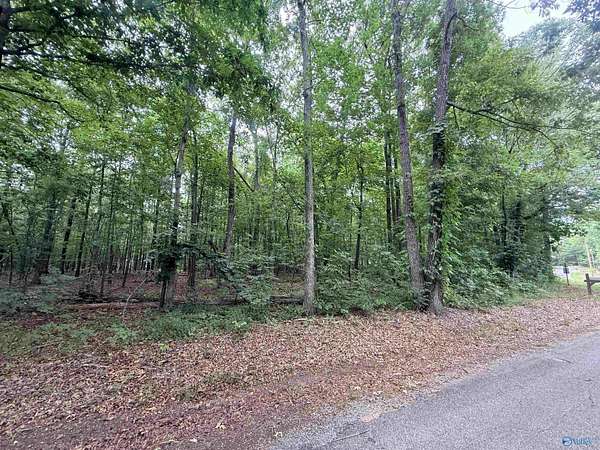0.96 Acres of Residential Land for Sale in Cedar Bluff, Alabama