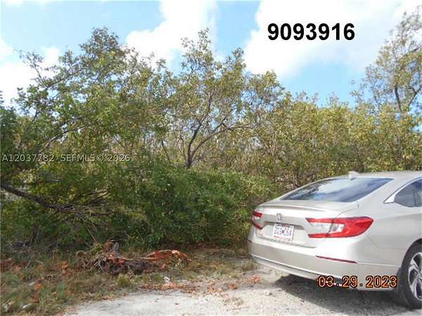 0.18 Acres of Residential Land for Sale in Big Pine, Florida
