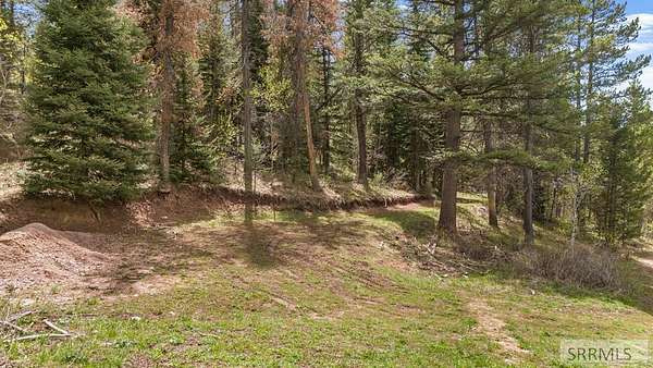 40 Acres of Recreational Land for Sale in Firth, Idaho
