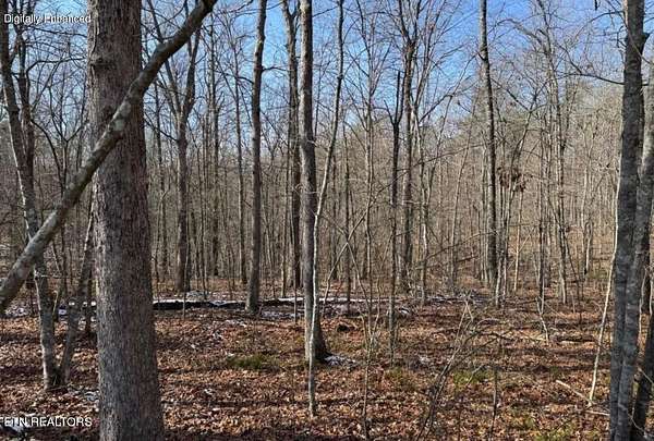 4.3 Acres of Residential Land for Sale in Monterey, Tennessee