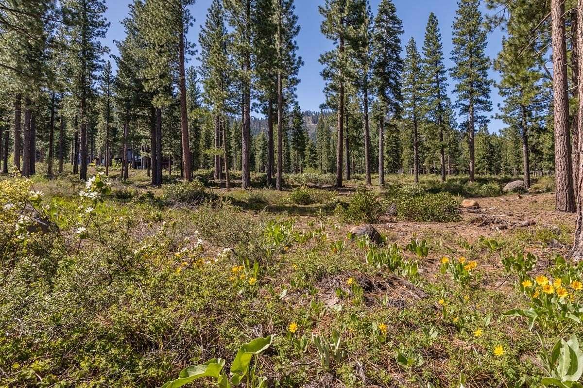 1 Acre of Residential Land for Sale in Truckee, California