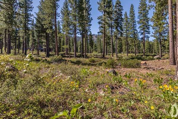 1 Acre of Residential Land for Sale in Truckee, California