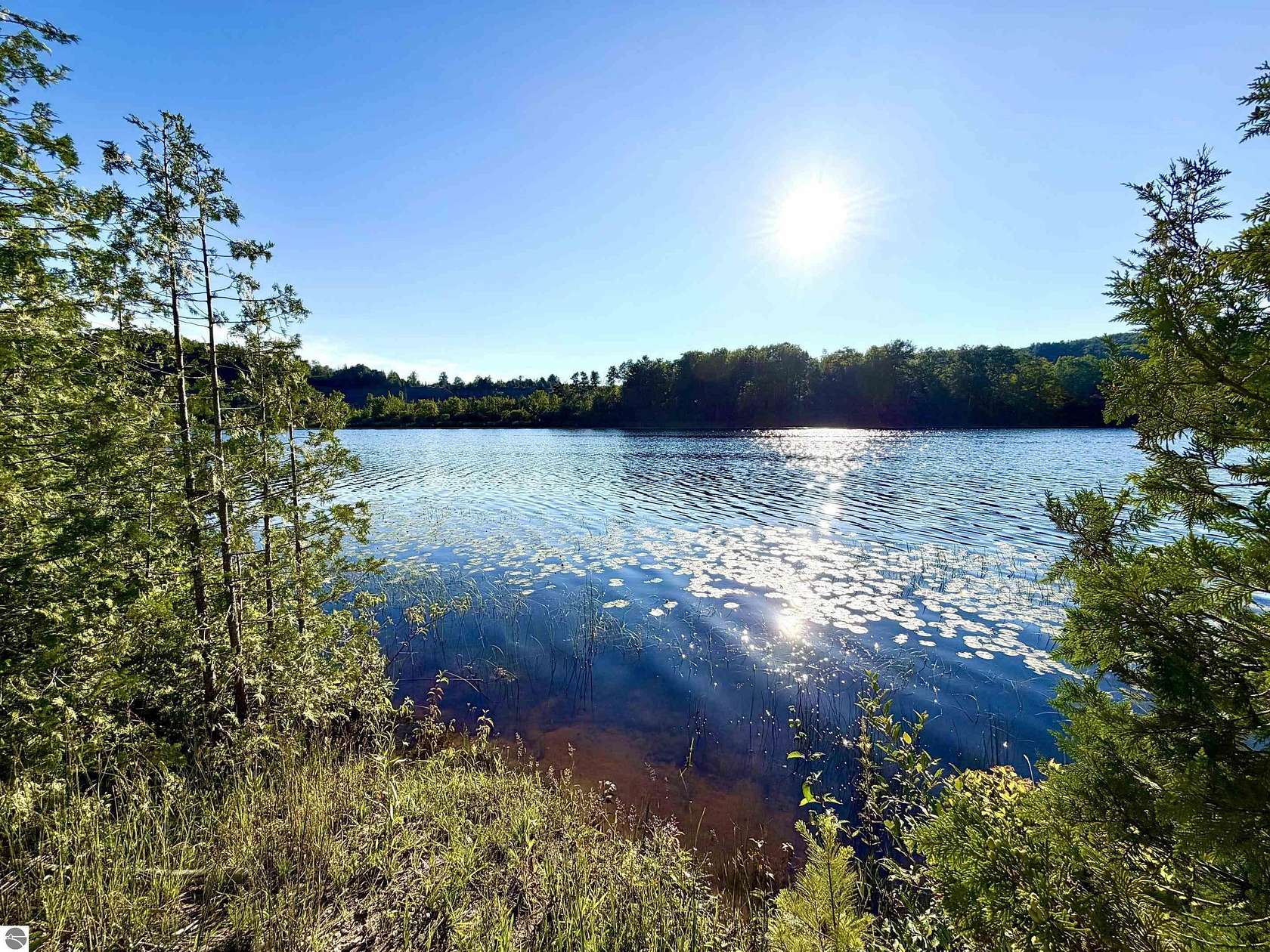 10 Acres of Recreational Land for Sale in Ellsworth, Michigan