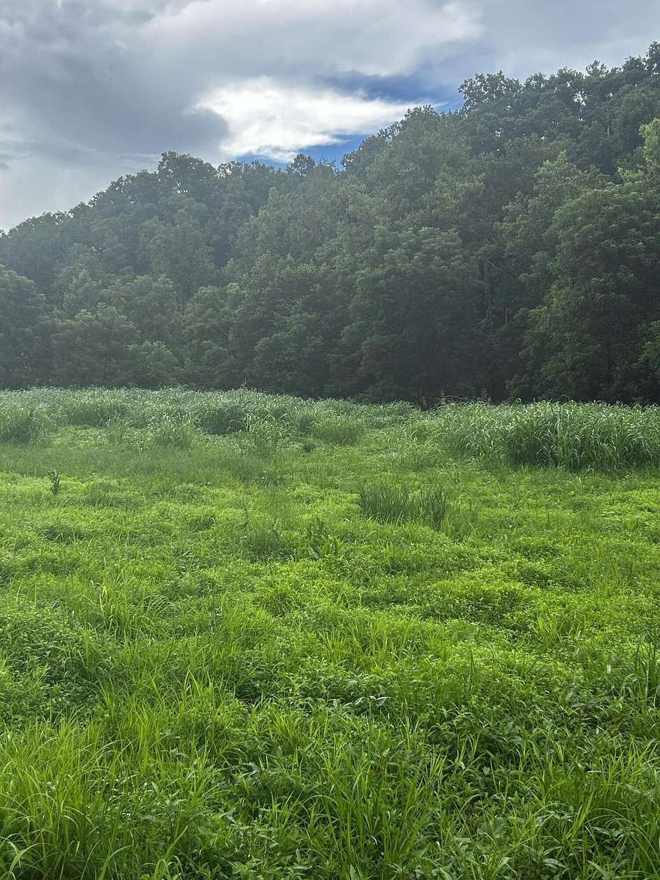 65 Acres of Land for Sale in Manchester, Kentucky