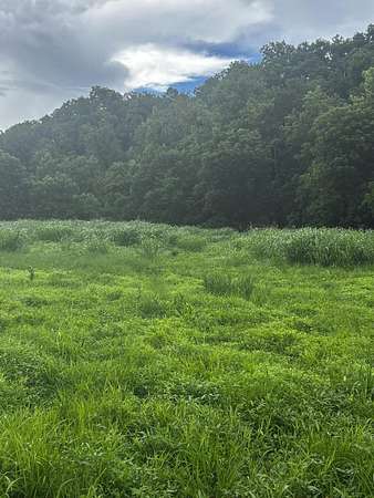 65 Acres of Land for Sale in Manchester, Kentucky