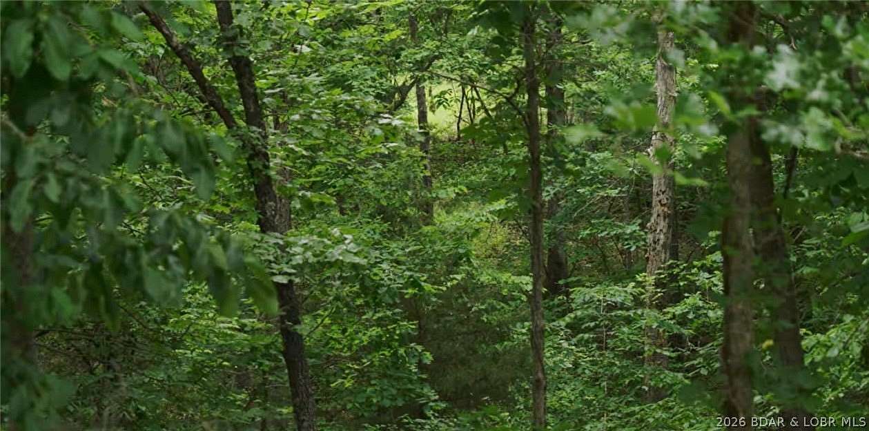 5 Acres of Residential Land for Sale in Linn Creek, Missouri