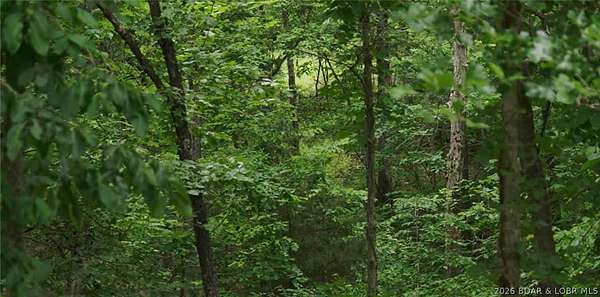 5 Acres of Residential Land for Sale in Linn Creek, Missouri