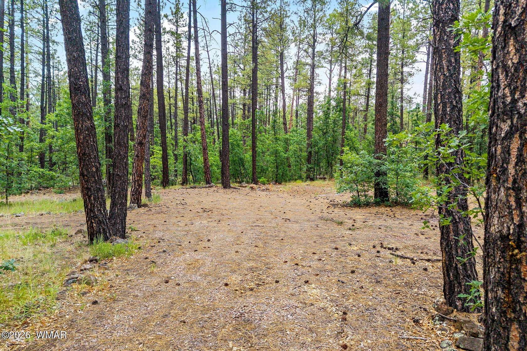 0.76 Acres of Residential Land for Sale in Pinetop, Arizona