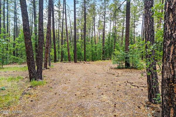 0.76 Acres of Residential Land for Sale in Pinetop, Arizona