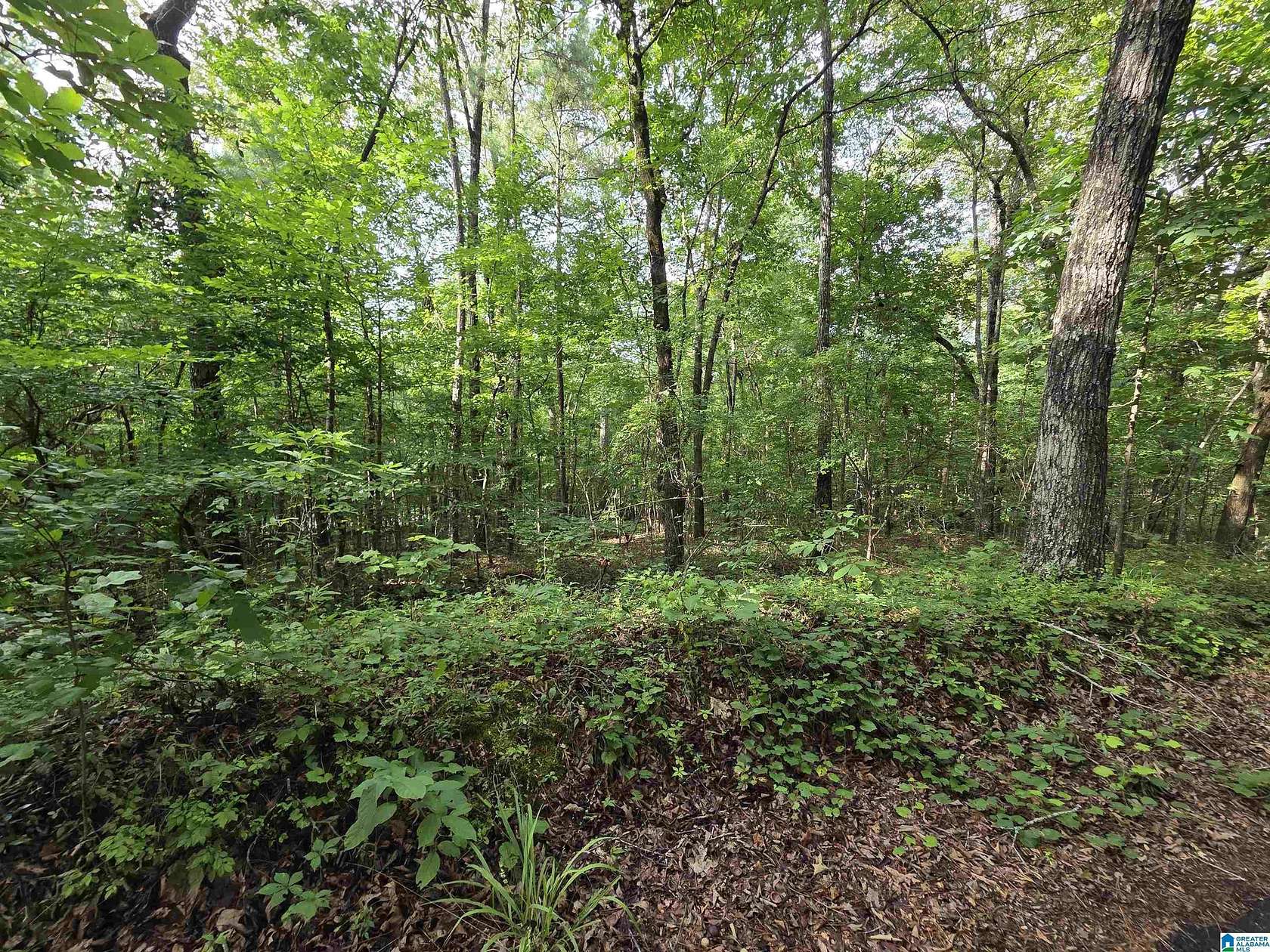 2.5 Acres of Residential Land for Sale in Riverside, Alabama