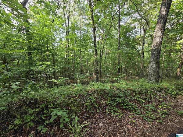 2.5 Acres of Residential Land for Sale in Riverside, Alabama