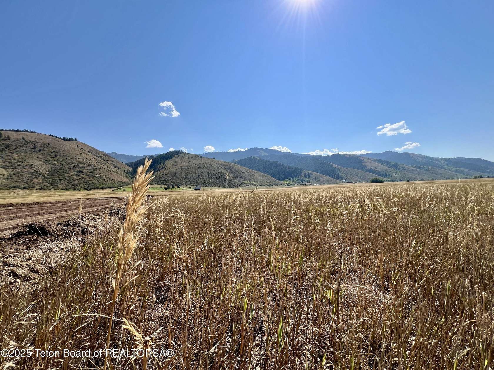 6.77 Acres of Residential Land for Sale in Grover, Wyoming