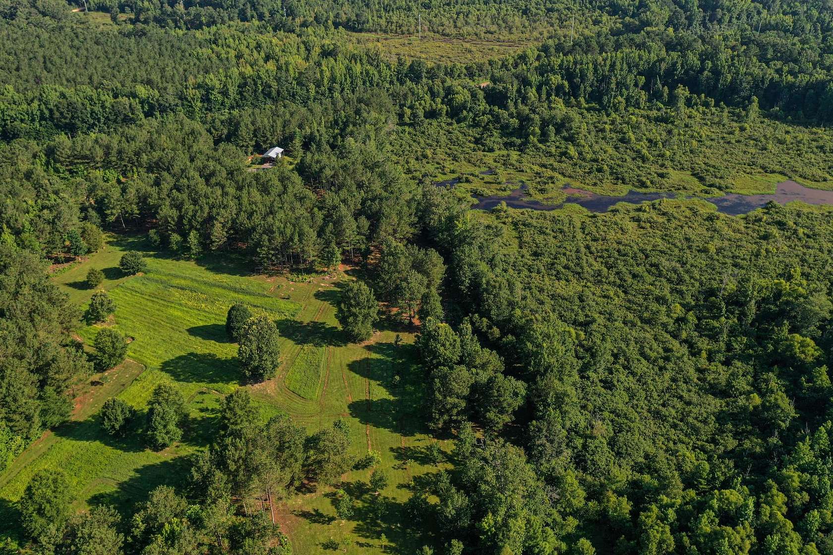 156 Acres of Recreational Land for Sale in Sturgis, Mississippi