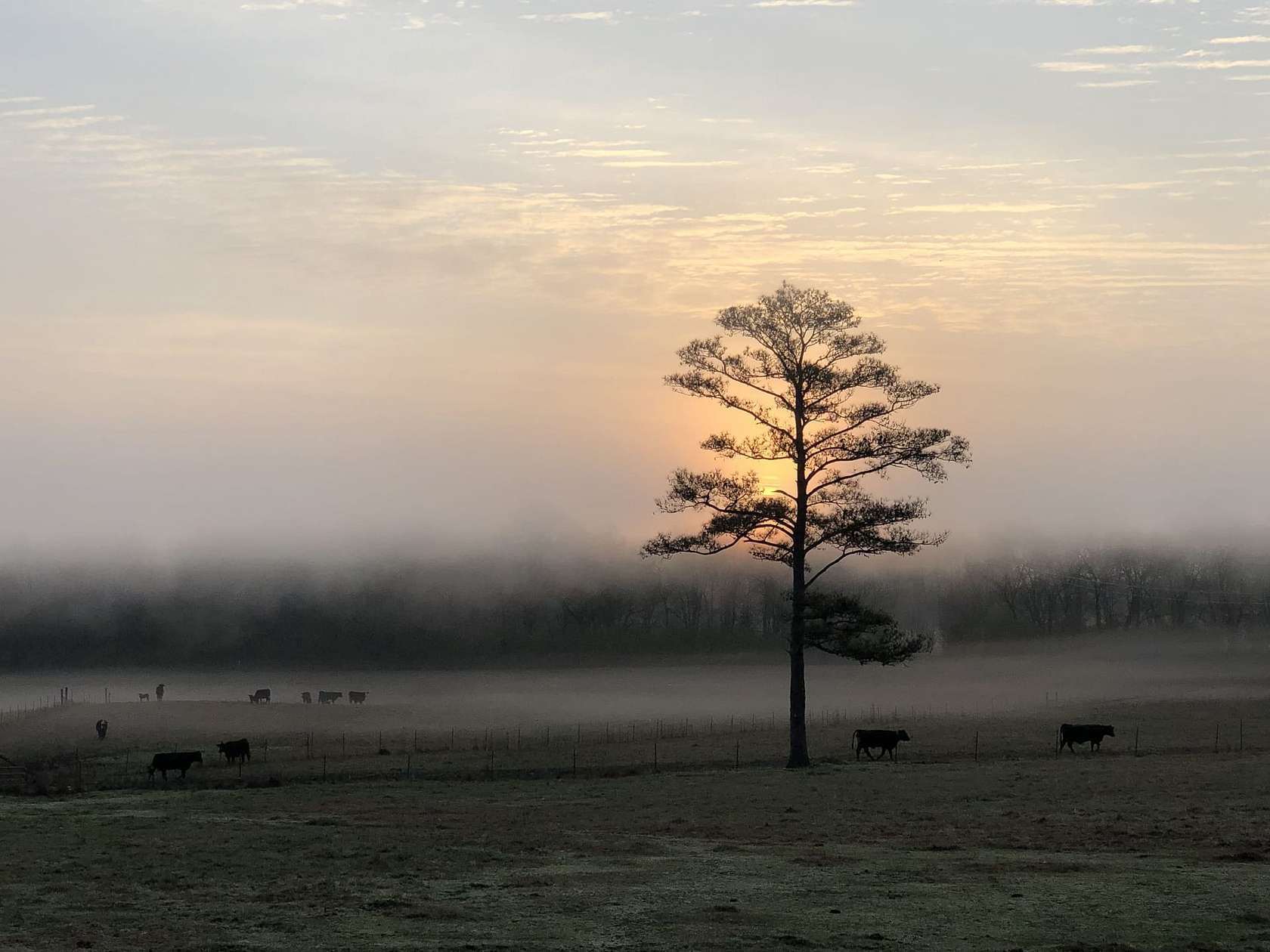 26.6 Acres of Recreational Land with Home for Sale in West Point, Mississippi