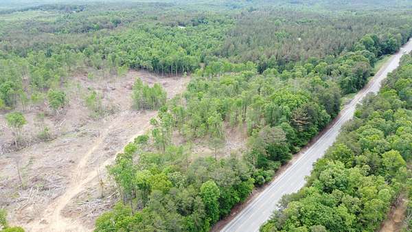 50 Acres of Land for Sale in Natural Bridge, Alabama