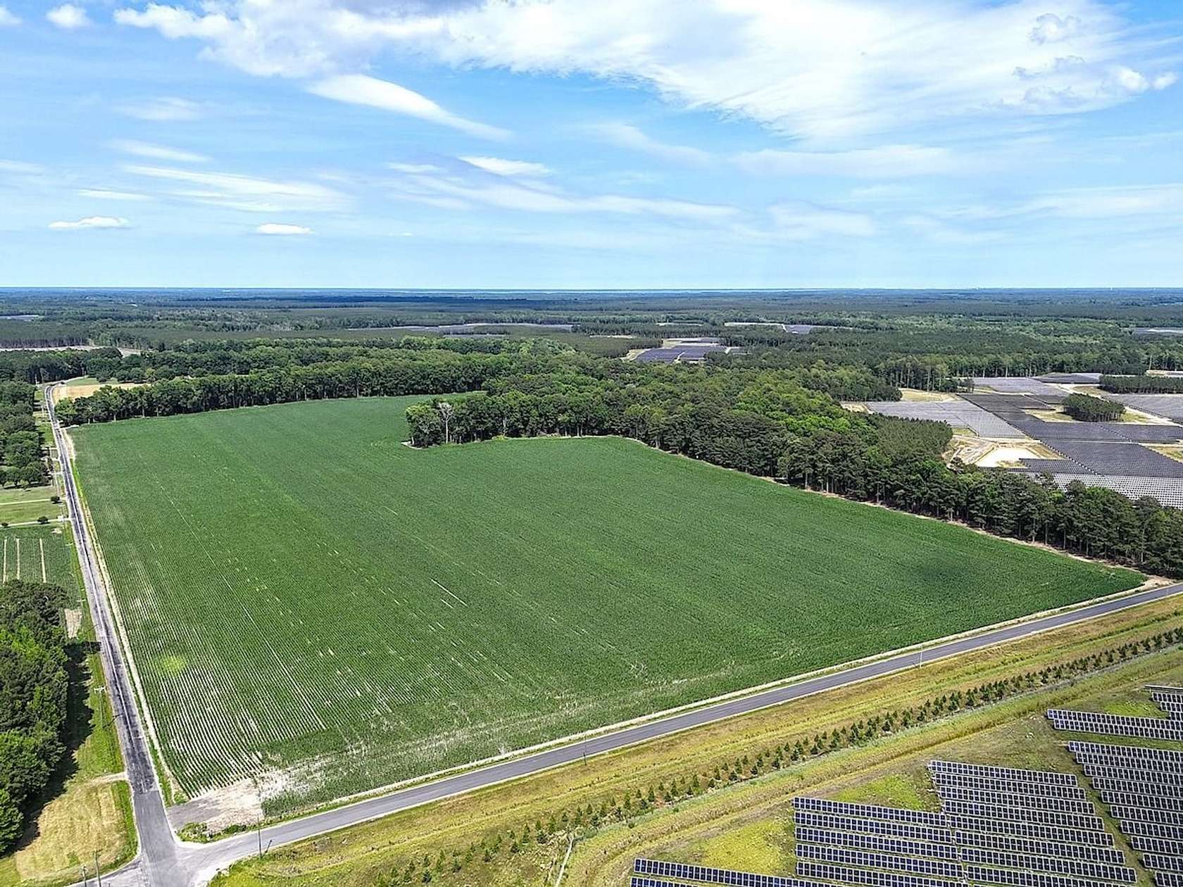 96.3 Acres of Land for Sale in Elberon, Virginia