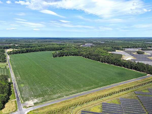 96.3 Acres of Land for Sale in Elberon, Virginia