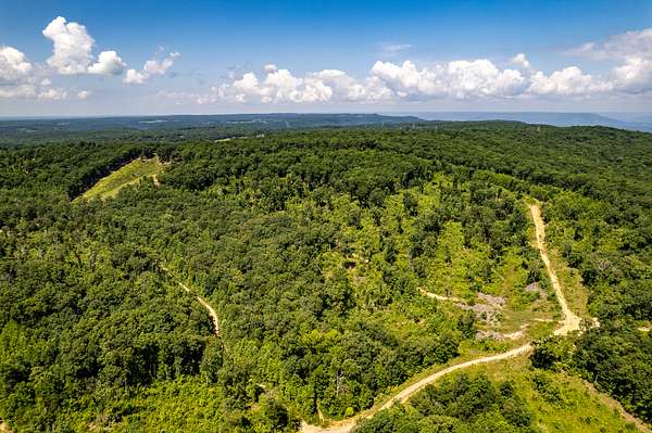 28.8 Acres of Recreational Land for Sale in Trenton, Georgia