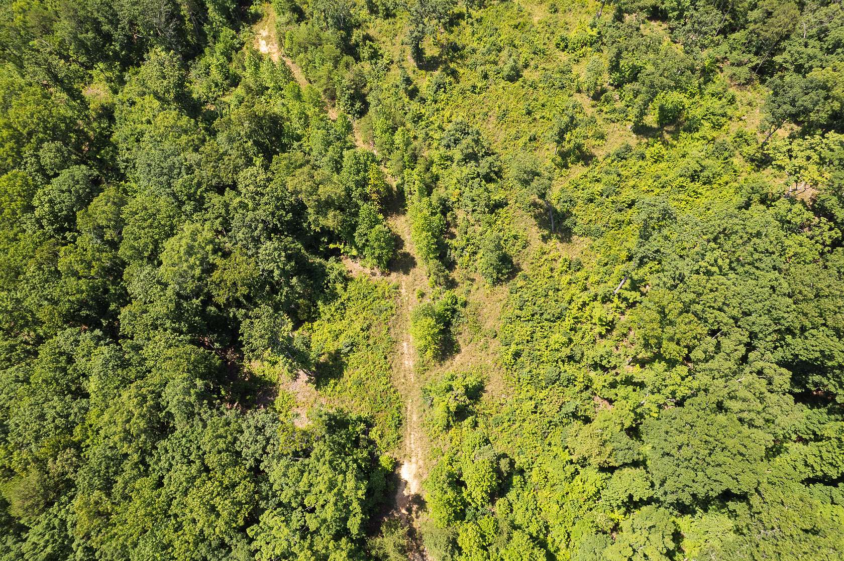 4.32 Acres of Land for Sale in Trenton, Georgia