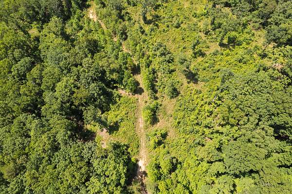 4.32 Acres of Land for Sale in Trenton, Georgia