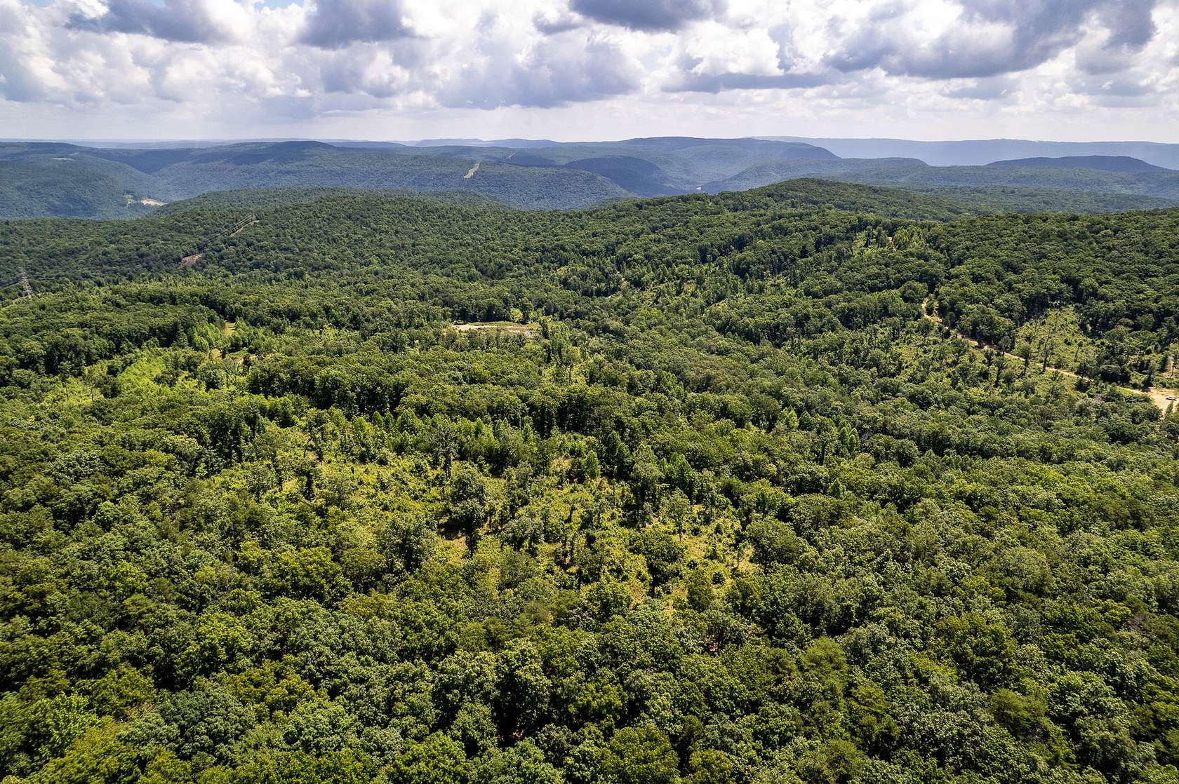 16.9 Acres of Recreational Land for Sale in Trenton, Georgia