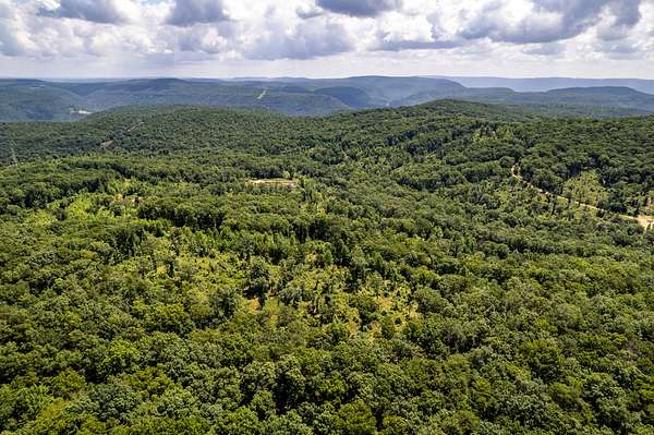 16.9 Acres of Recreational Land for Sale in Trenton, Georgia